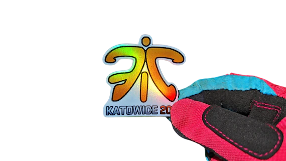 Fnatic Katowice 2014